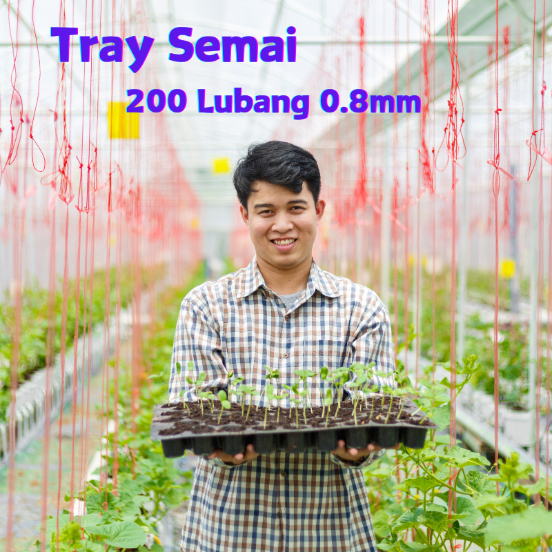 [20/50/100 PCS] Tray Semai 200 lubang 0.8mm Alat Semai/ Pot Tray Semai Bibit Benih / Pot Bibit