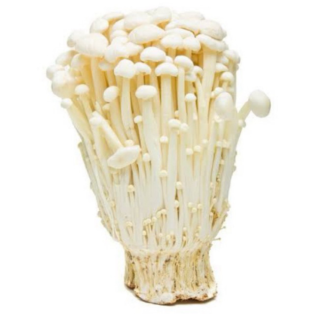 

Jamur enoki putih