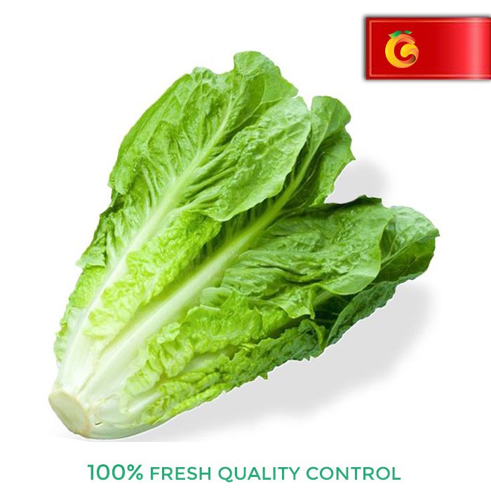 

Selada Romaine Fresh 250 Gram