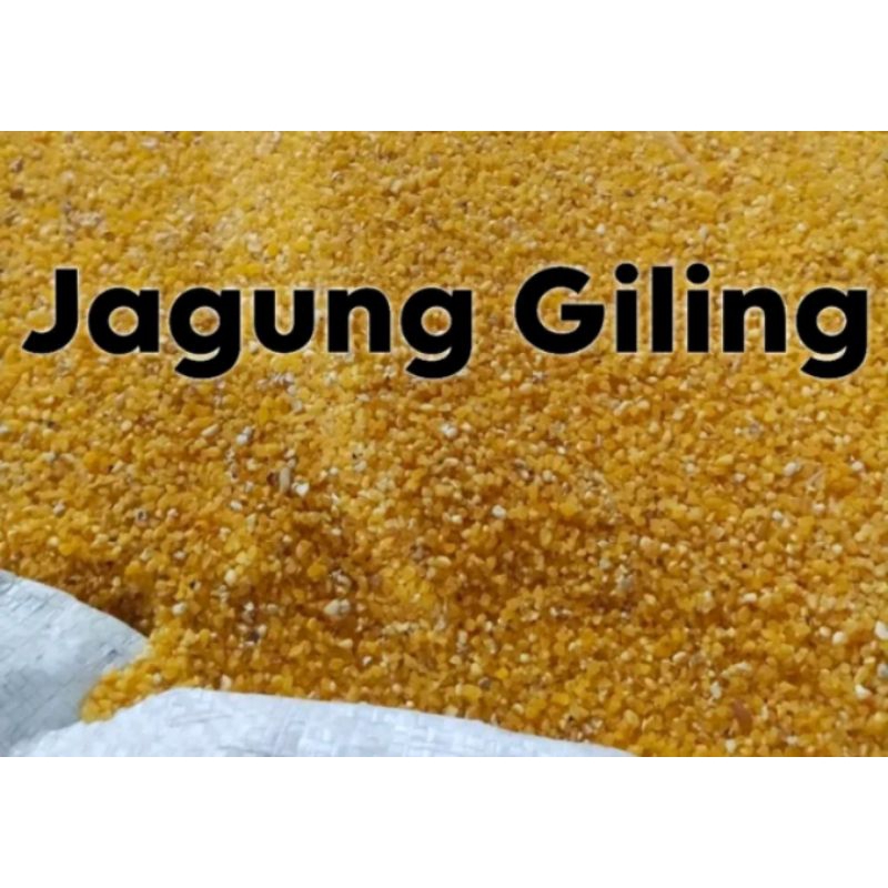 

Jagung Menir A pakan ayam burung 150 Gram