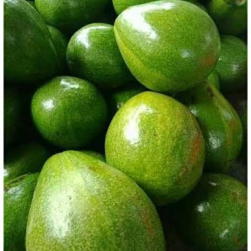 

buah alpokat metega mateng 1kg pasar samarinda