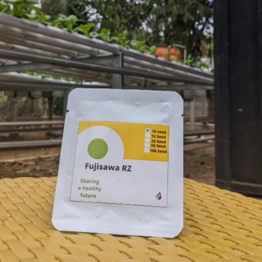 Benih buah melon fujisawa RZ F1 original repack isi 10 seed