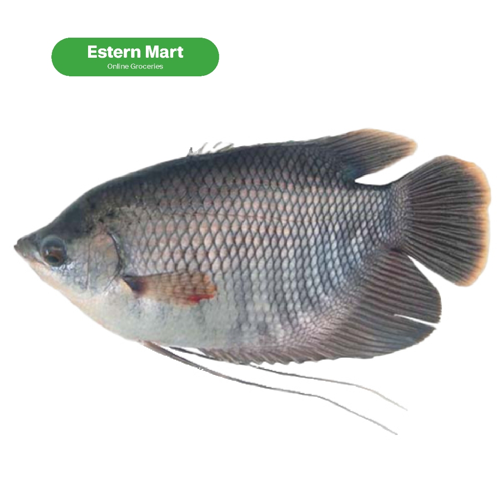 

Ikan gurame fresh 500gr, 1kg