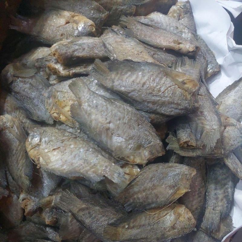 

Ikan asin sepat besar sekayu kualitas super dan premium