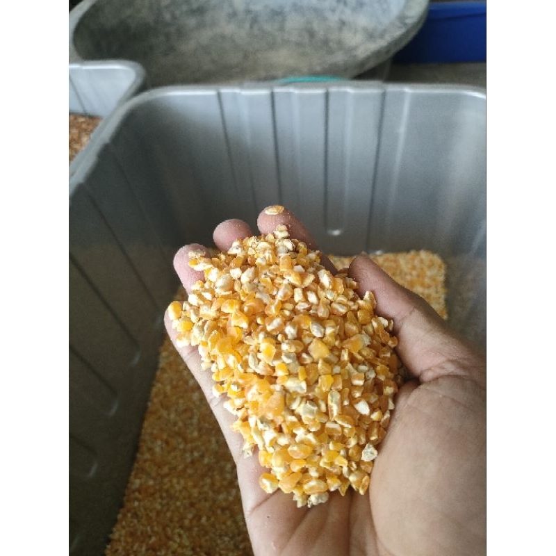 

jagung pecah kasar 500g