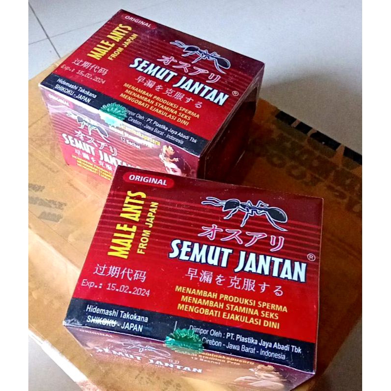 semut jantan