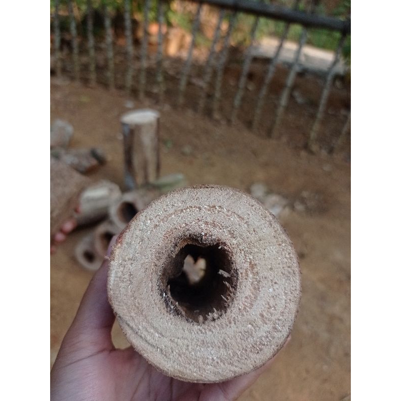 1 Batang || Kayu Lapuk Unik Combong