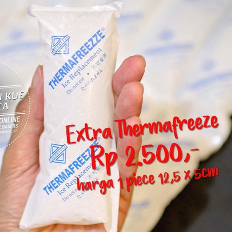 

Thermafreeze Therma Freeze 1pc Ice Pack Es Gel Pendingin Ekstra Aman