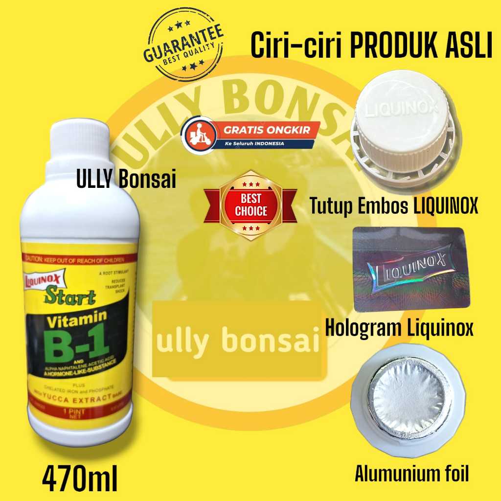 Pupuk Cair Vitamin B1 untuk Tanaman Anti Stres dan Perangsang Akar Kemasan 470 ml