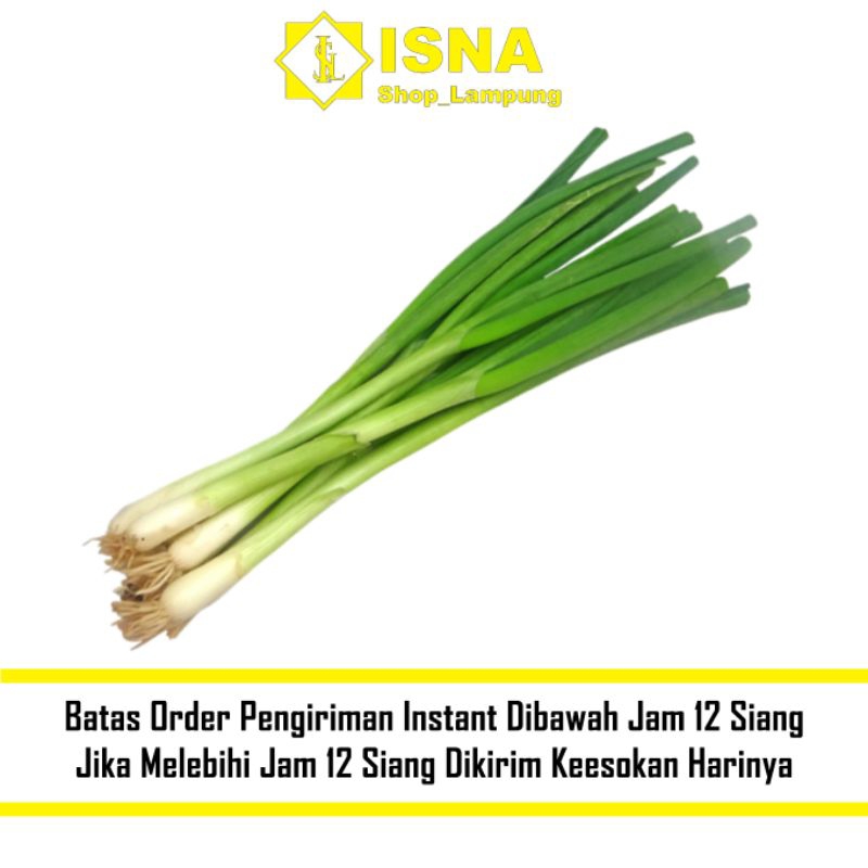 

Daun Bawang 1 Ikat
