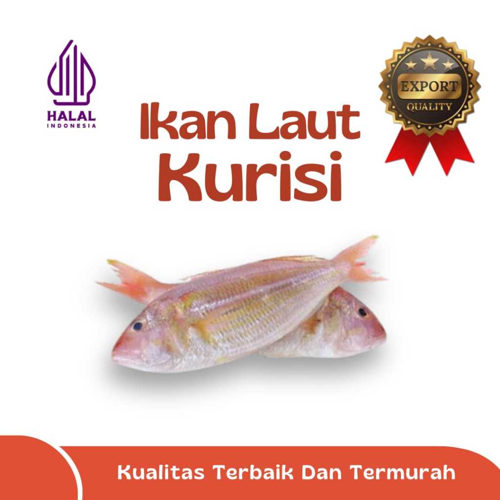 

IKAN TRISI / IKAN KURISI / IKAN LAUT EKSPOR QUALITY