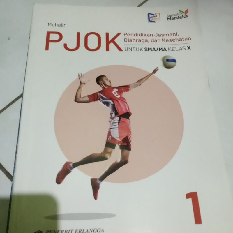 buku PJOK kelas x penerbit Erlangga