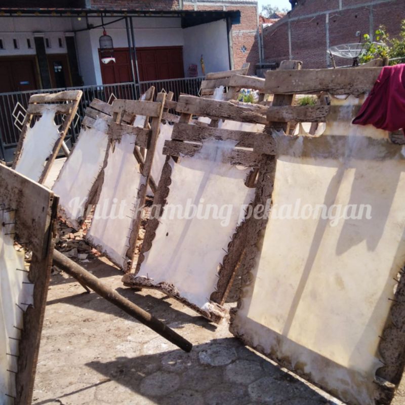 

Kulit kambing Tipis lembaran kulit kambing Tipis kulit rebana hadroh