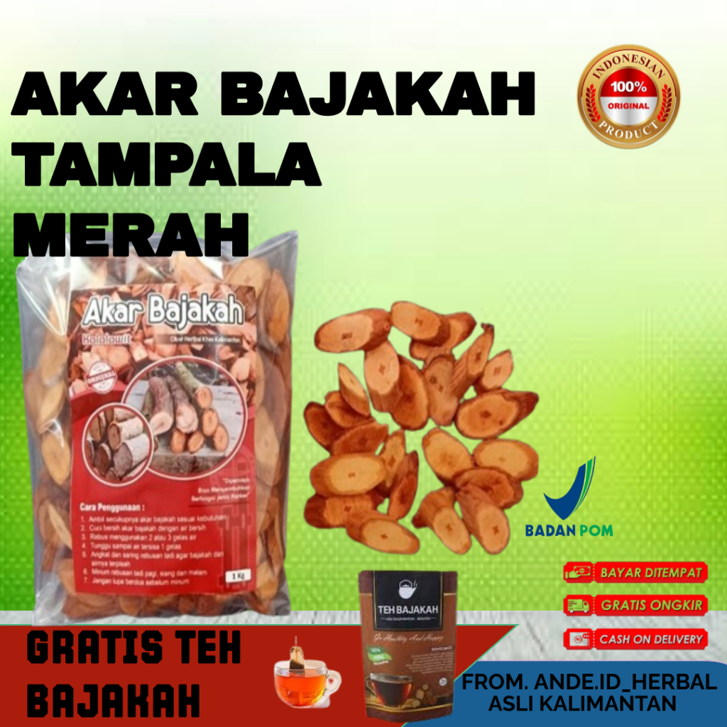 

[TERLARIS] 250 GRM Akar Kayu BAJAKAH TAMPALA MERAH spesial bonus teh bajakah Siap Seduh Obat Tumor dan Kanker (100% ORIGINAL) Asli Kalimantan - BONUS 1BUNGKUS Teh BAJAKAH