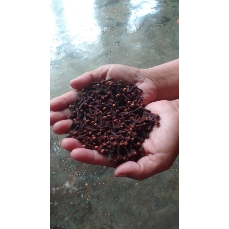

cengkeh /100grm murah