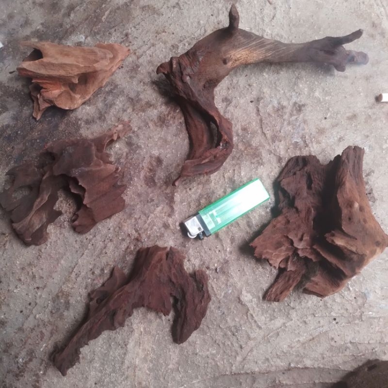 kayu rentek mini sije