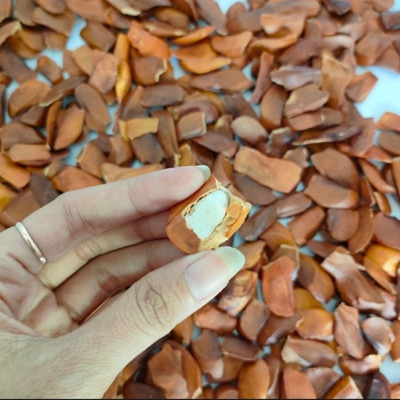 

Biji Buah Mahoni Kering 200gram/ Xiang Tian Guo / Sky Fruits Herbal Kolesterol