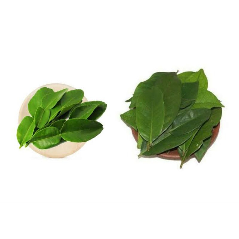 

Daun Jeruk / Daun Salam