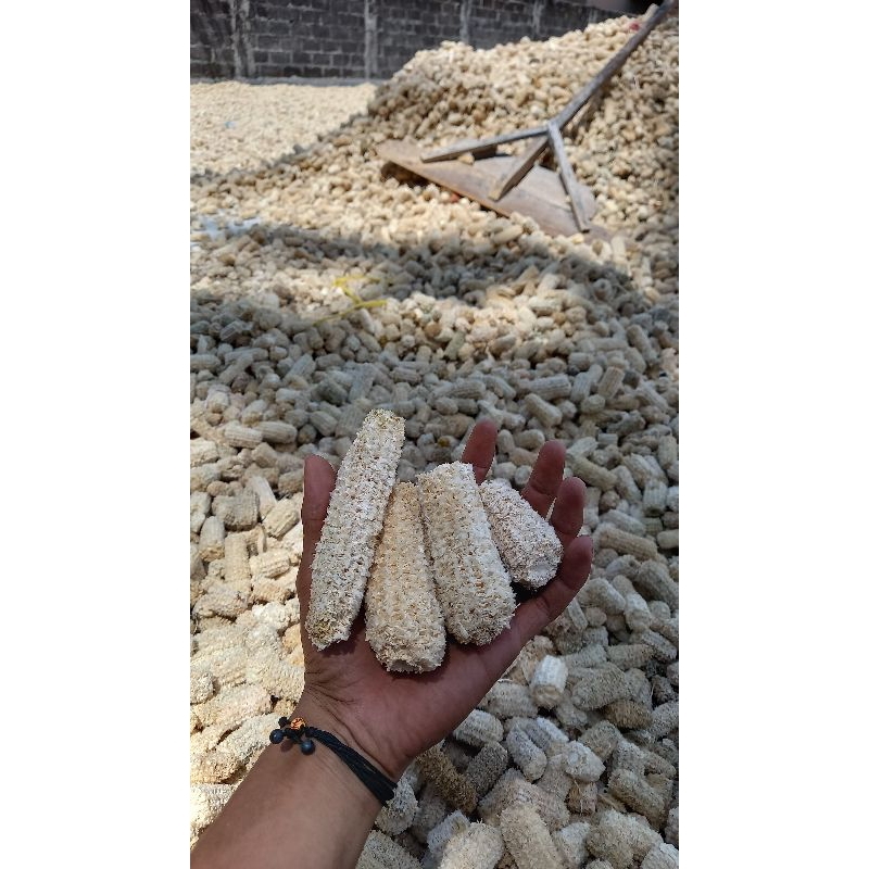 

1 kg Bonggol/Tongkol jagung, kadar air kurang dari 15%