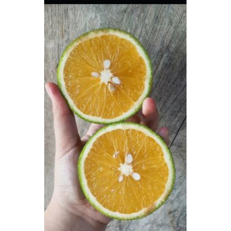 

jeruk baby 1kg