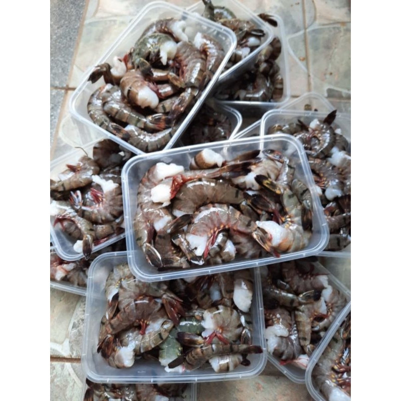 

Udang Tiger Headless size 70