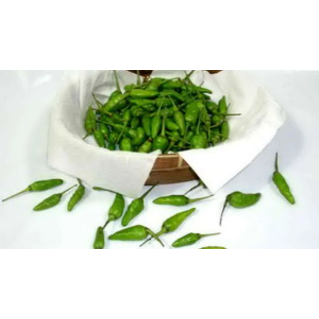 

LOLA Langsung Order Langsung Antar Cabai Cabe Rawit Hijau Green Bird Eye Chili 100 gr