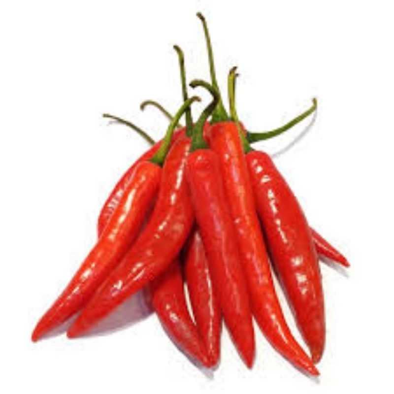 

Cabe Merahh Tw Besar