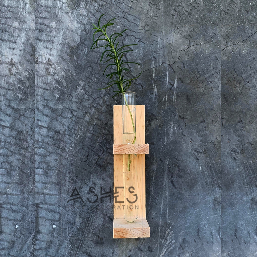 pot water propagation dudukan pot tanaman air untuk menumbuhkan akar termasuk tabung model tempel 1