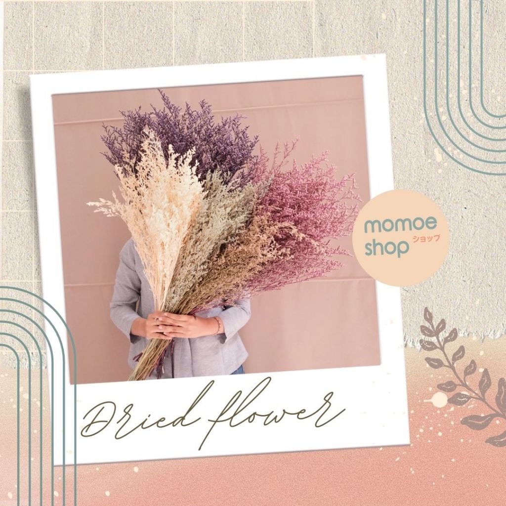 PROMO GROSIR MURAH Natural Dried Flower Dekorasi Bunga Kering Rustic Vintage Preserved Caspia Caspea