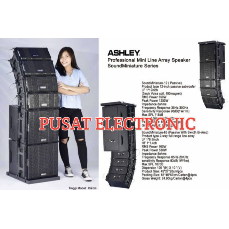 Speaker Line Array Ashley Mini Soundminiature Series Array 6.5inch Sub 12inch Pasif Original