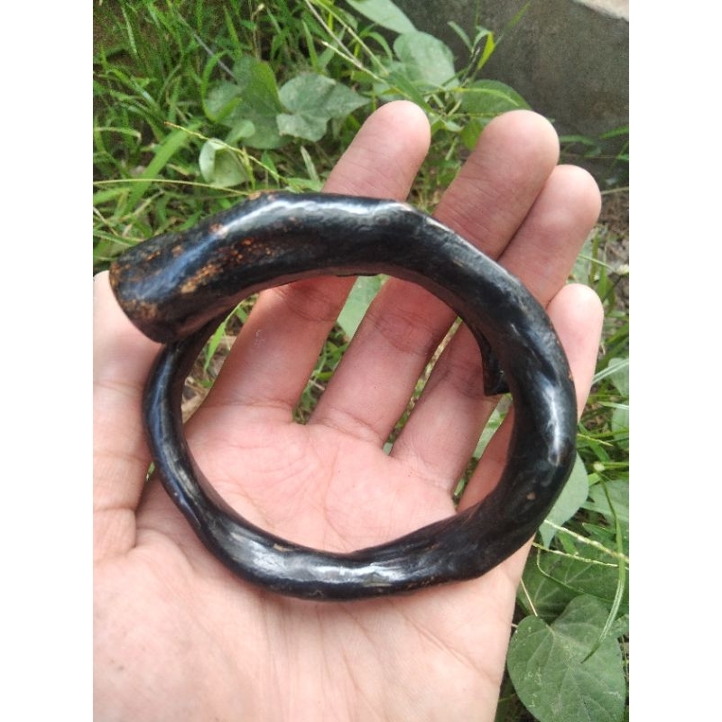 gelang akar Bahar hitam berkualitas super