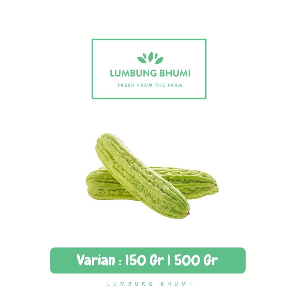 

Pare Sayur - Lumbung Bhumi