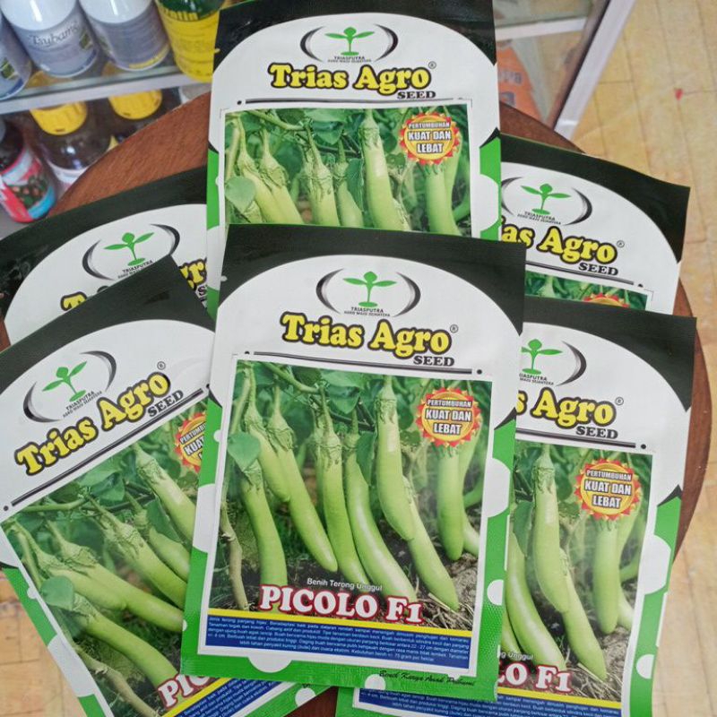 Benih terong hijau PICOLO F1