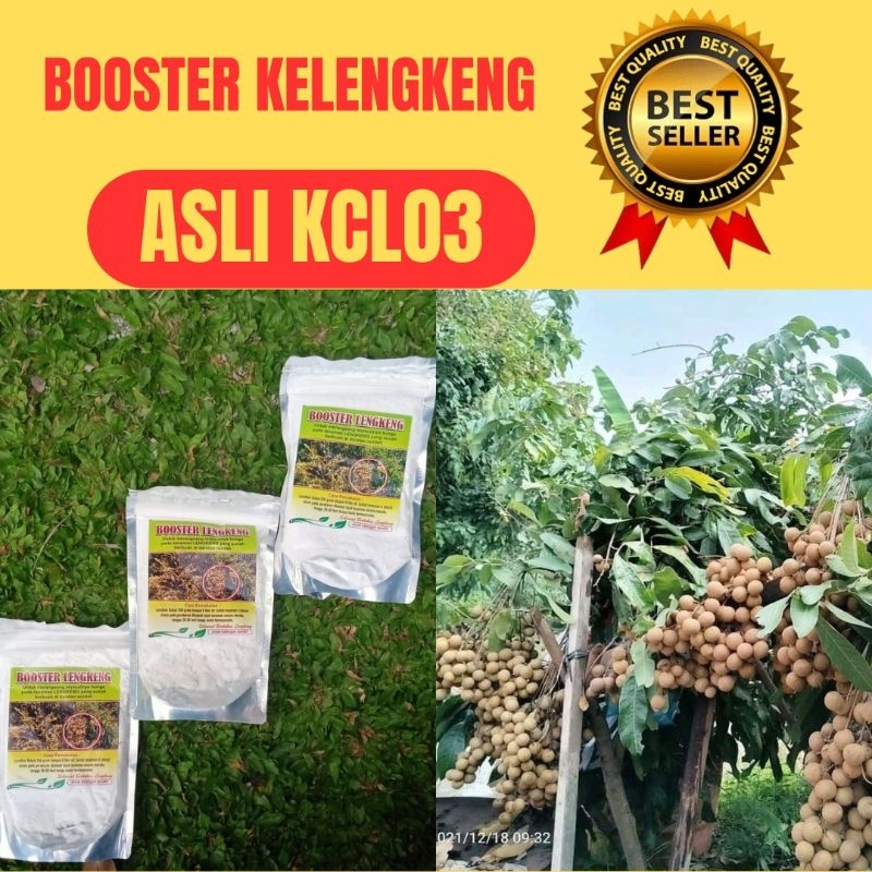 GARANSI ASLI Booster Kelengkeng Asli, Booster Kelengkeng Terbaik