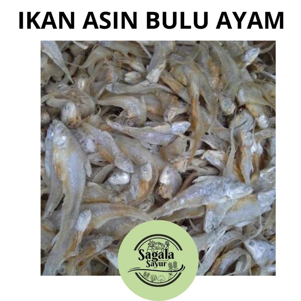 

IKAN ASIN BULU AYAM 100 GRAM
