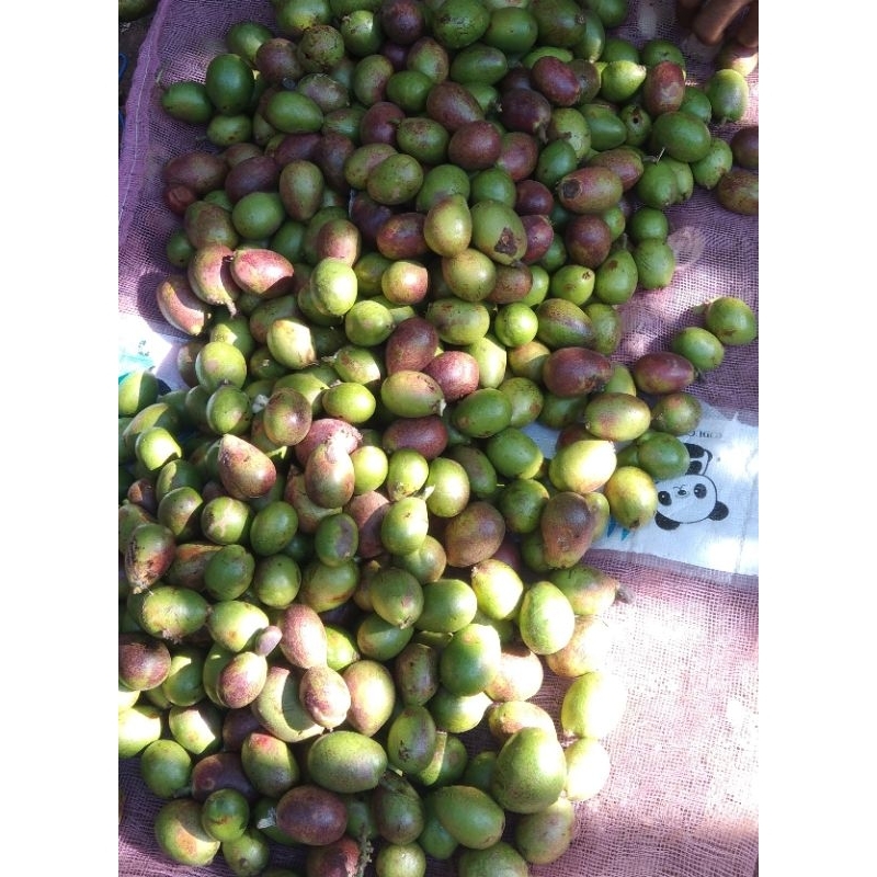 

buah matoa fres baru metik super 500g