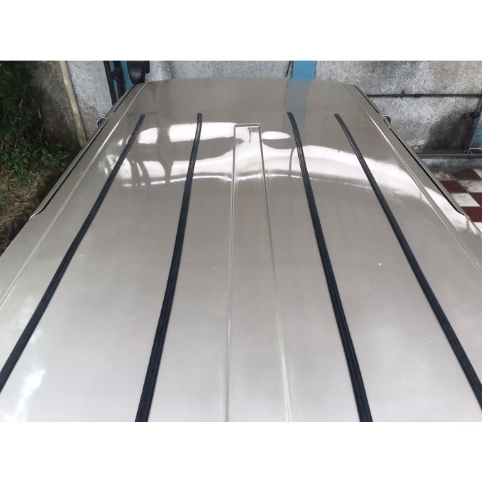 Lis Karet Atap Mobil Nissan Terrano
