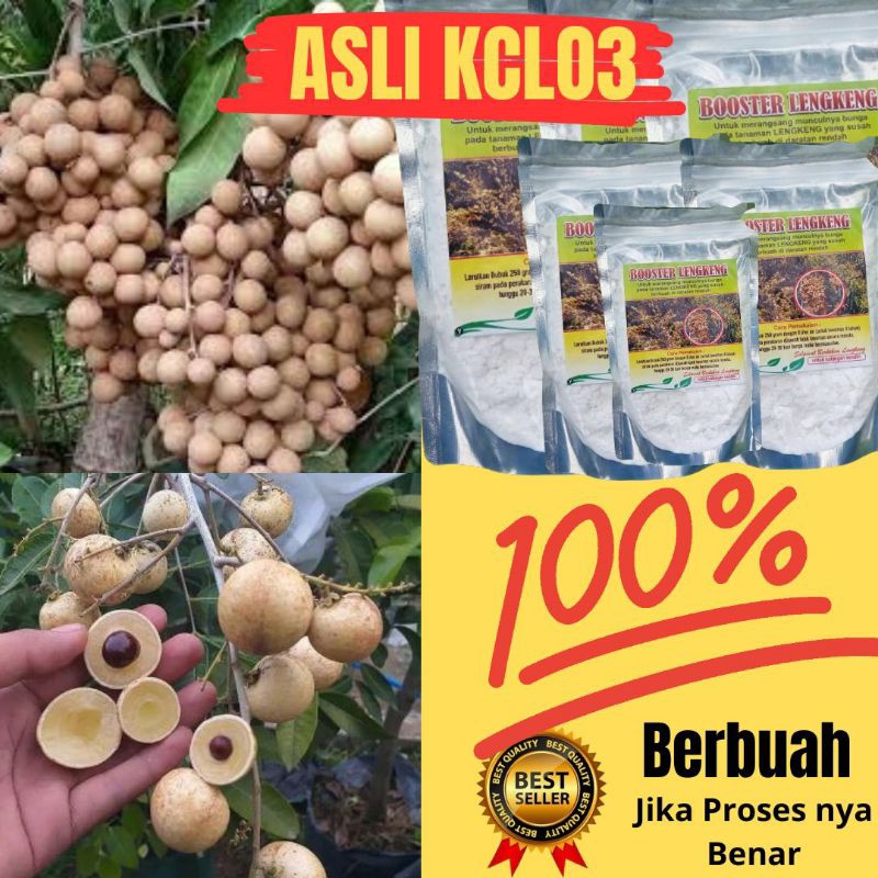 GARANSI ASLI.. Booster Kelengkeng, Booster Kelengkeng Murni