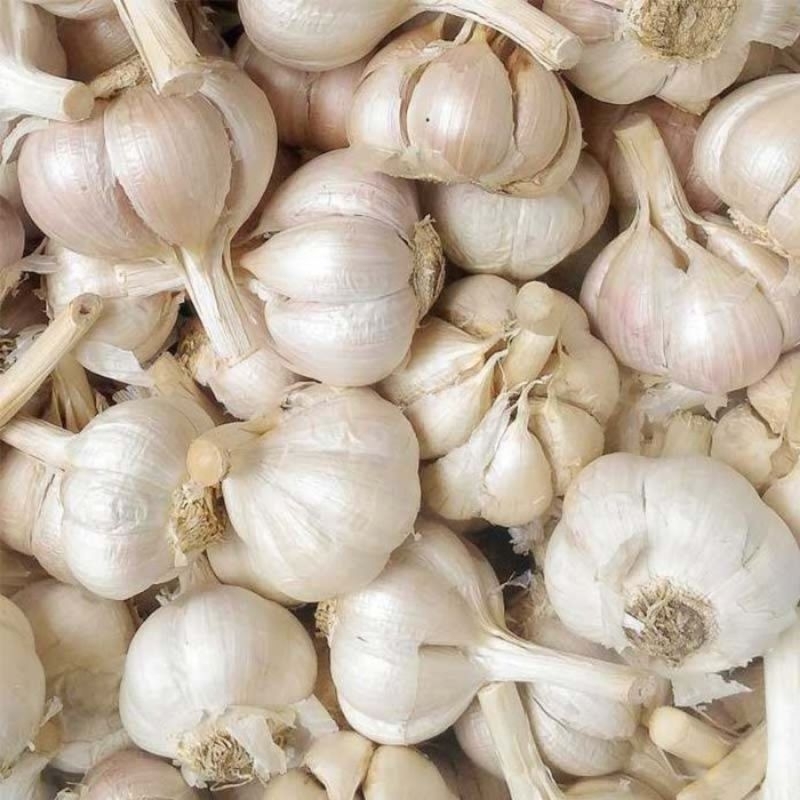 

Bawang putih kating 250g