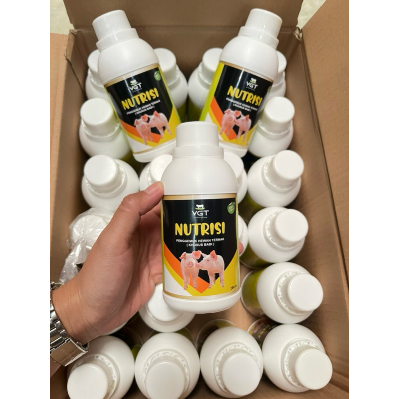 VGT (babi) Nutrisi penggemuk