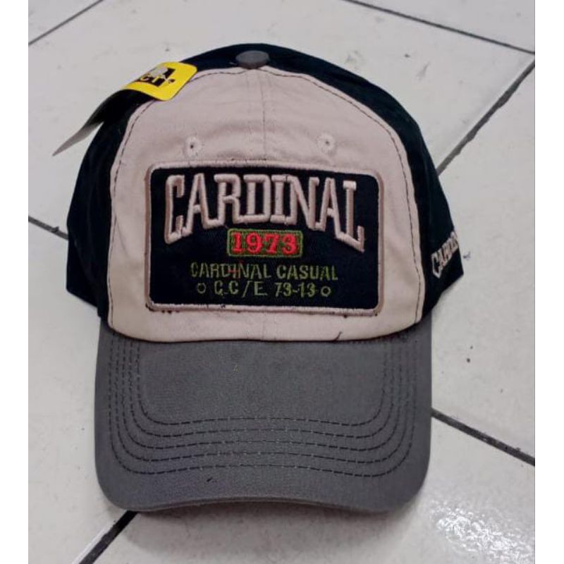 Topi Pria original import Distro hight Quality bordir sobek