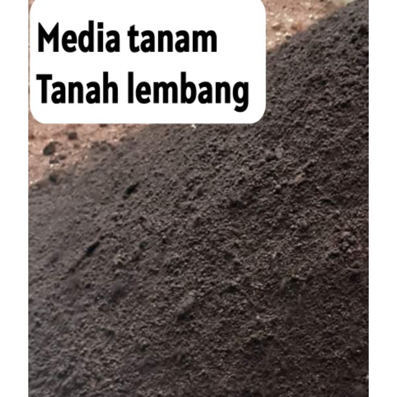 media tanam tanah lembang asli / tanah lembang / media tanaman