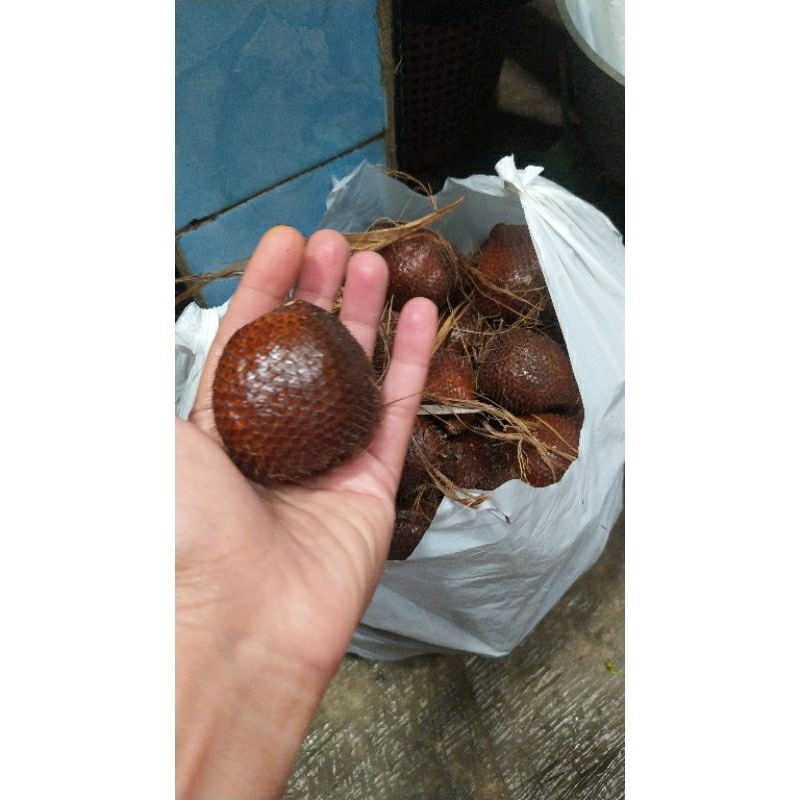 

salak pondoh sleman 1kg