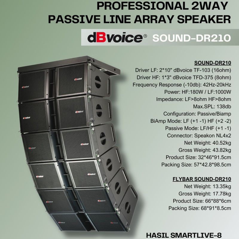Speaker Line Array Dbvoice Sound DR 210 Original 2 x10 inch Array dB Voice SOUND DR210 BigMusic