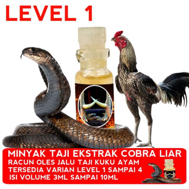 Obat oles Jalu racun kaki ayam bangkok tarung ekstrak cobra