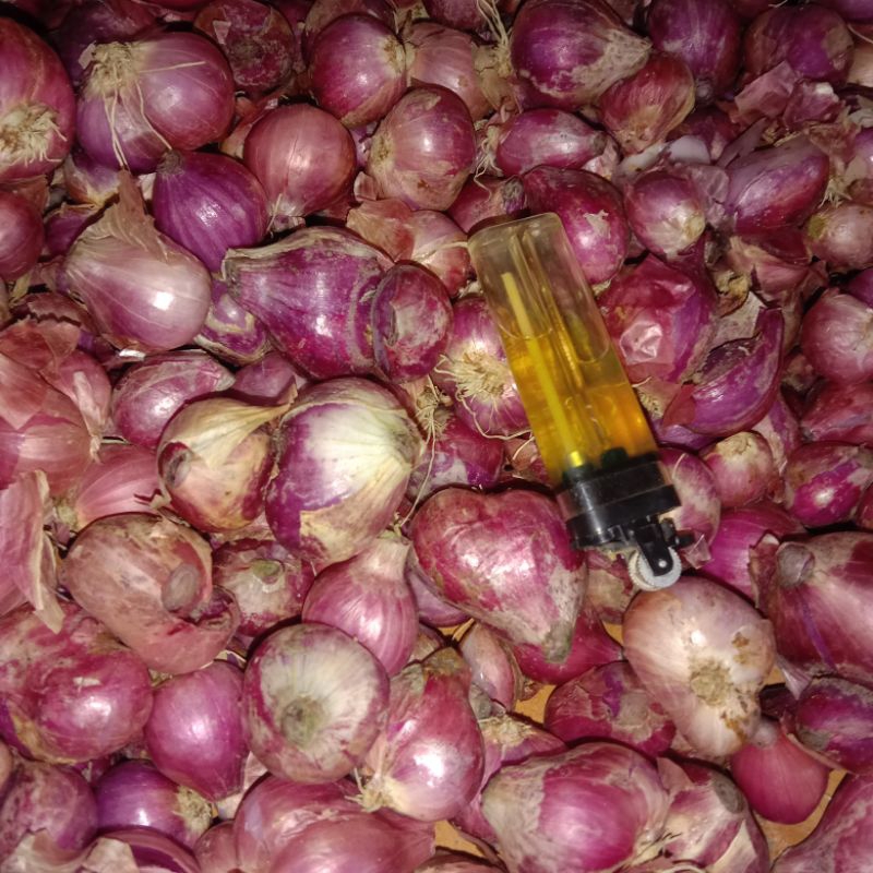 

Bawang Merah 3 Kilo