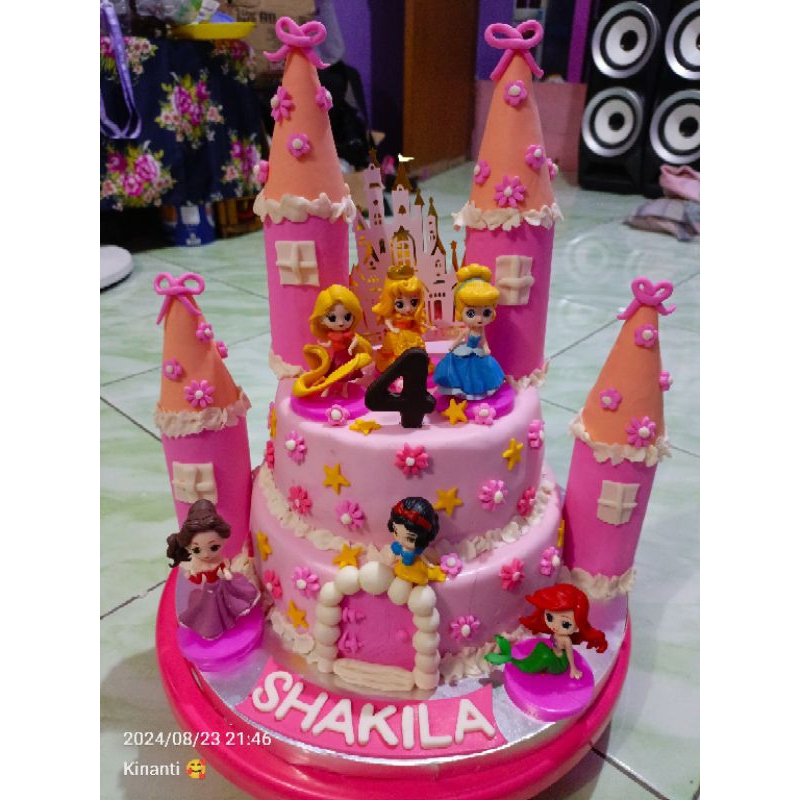 

Birthday cake costum disney