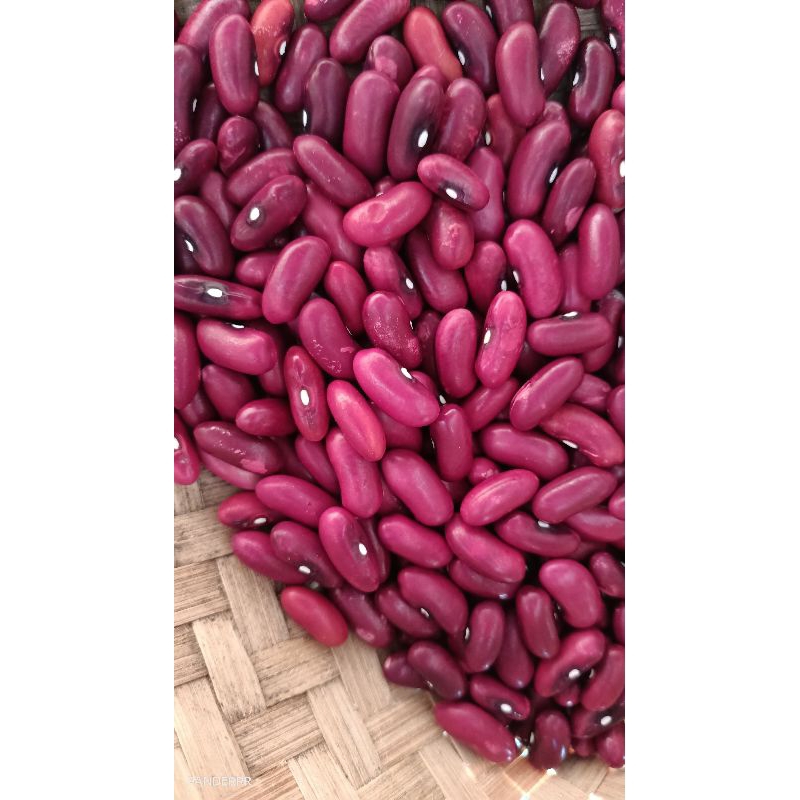 

Kacang Merah Kupas