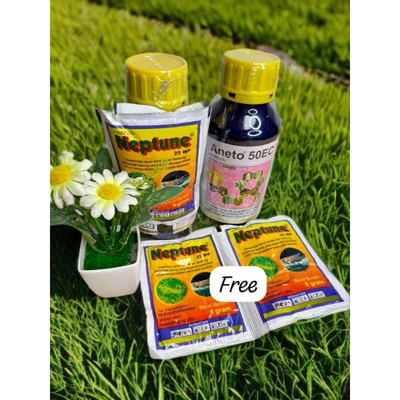 ANETO 50 EC - 500ml / Anetto Insektisida Kontak Lambung free Neptune 2pcs