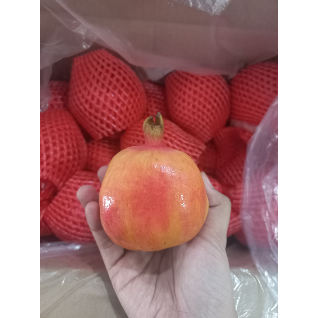 DELIMA. BUAH DELIMA POMEGRANATE. POME BUAH DELIMA